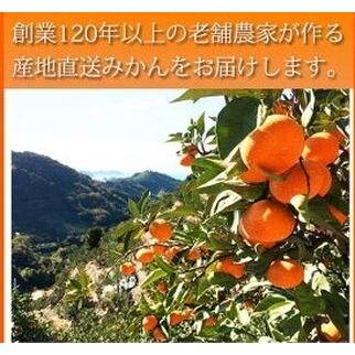 ふるさと納税 G7045_紀州 有田産 濃厚甘熟 温州みかん 5kg 和歌山県湯浅町