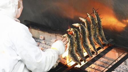 国産 うなぎの蒲焼き 特大 180g  タレ・山椒付［1-2人前］