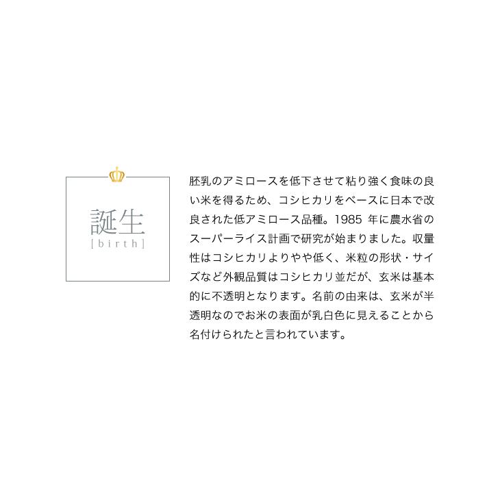 米 お米 5kg ミルキークイーン 新米 令和5年 まとめ買い 業務用米 安い 埼玉県産