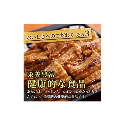 ふるさと納税 兵庫県 加古川市 焼あなご（2〜3串）〈串焼き 天然 蒲焼き あなご丼 穴子丼 送料無料 お取り寄せ 美味しい パリパリ おすすめ プレゼント 贈答 …