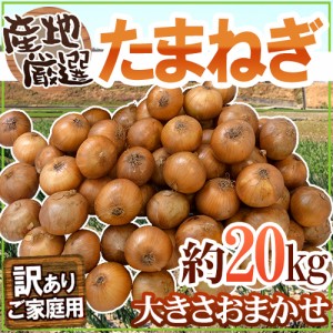 ”たまねぎ” 訳あり 約20kg 九州・四国・淡路・北海道 産地厳選 送料無料