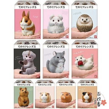 ξ✿百玖香✿萬代 BANDAI 盒玩 兩棲爬蟲類 海洋好朋友 掌上鸚鵡 掌上好朋友 手乘朋友們 刺蝟 軟膠公仔