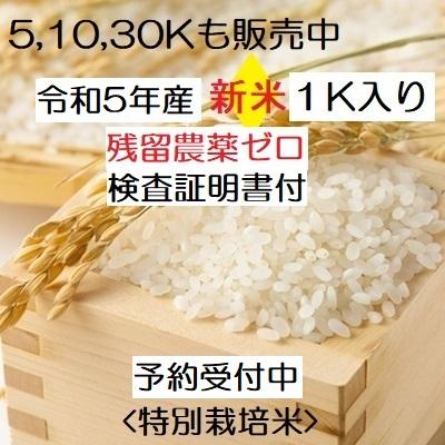 無洗米 コシヒカリ 令和5年新米 ：残留農薬ゼロ １K 特別栽培棚田米 ：お試し品