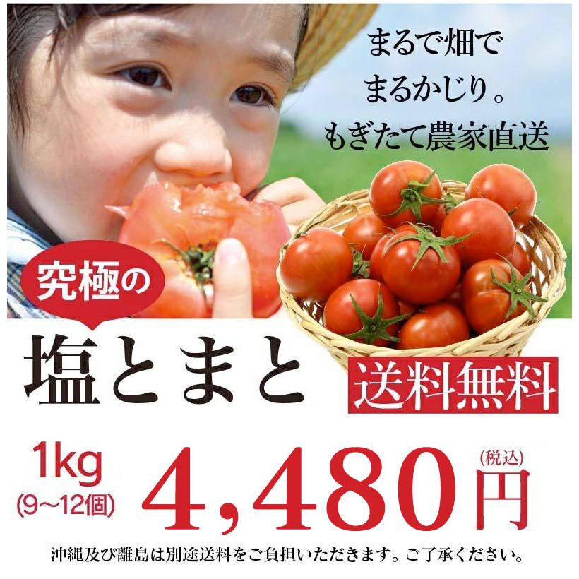 熊本産 塩トマト フルーツトマト 1kg 9〜12玉 送料無料 甘いトマト ＜12月中旬より出荷予定＞ 塩とまと 高糖度 農家直送 大嶌屋（おおしまや）