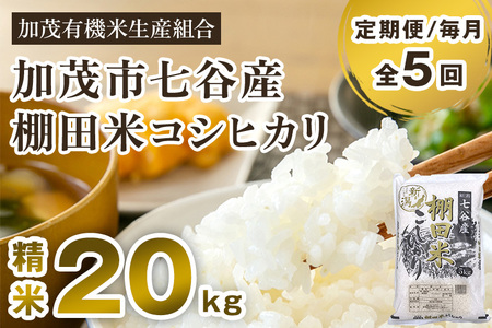 新潟県加茂市 七谷産 棚田米コシヒカリ 精米20kg（5kg×4）白米 加茂有機米生産組合 定期便 定期購入 定期 コシヒカリ 新潟県産コシヒカリ 米 お米