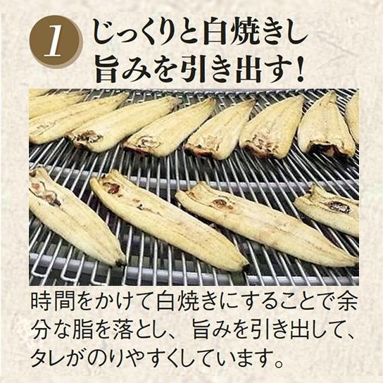 大新 鹿児島県産 うなぎ 蒲焼き 1セット（360g：60g×6袋）