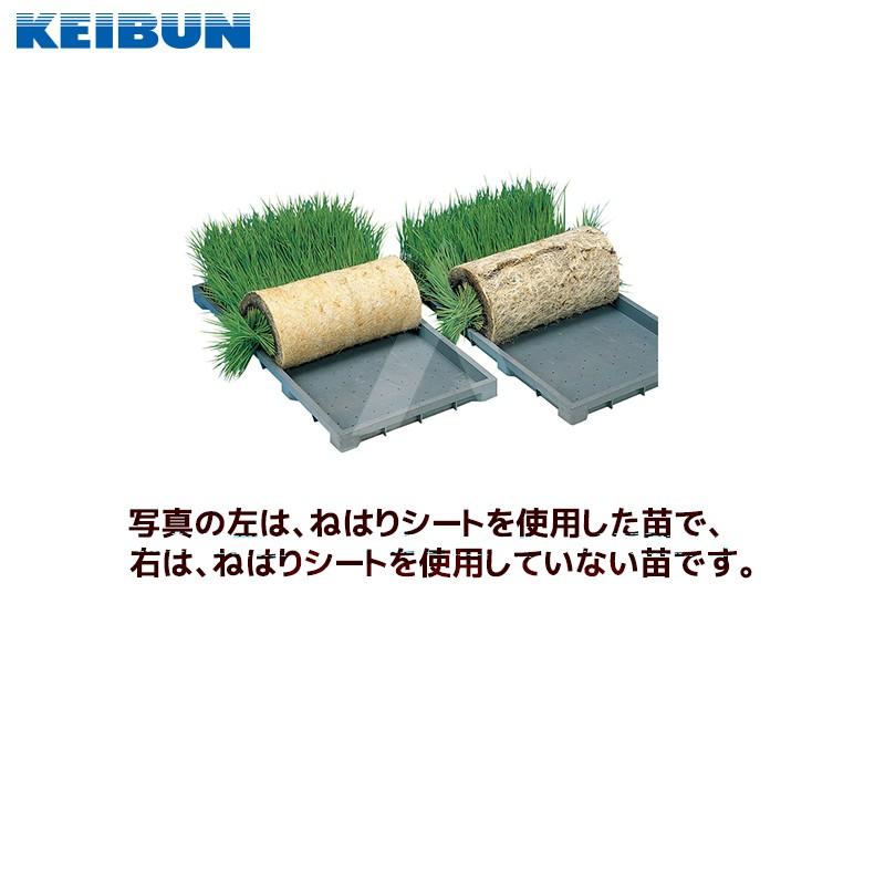 啓文社製作所 KEIBUN ねはりシート set品 使い切りタイプ