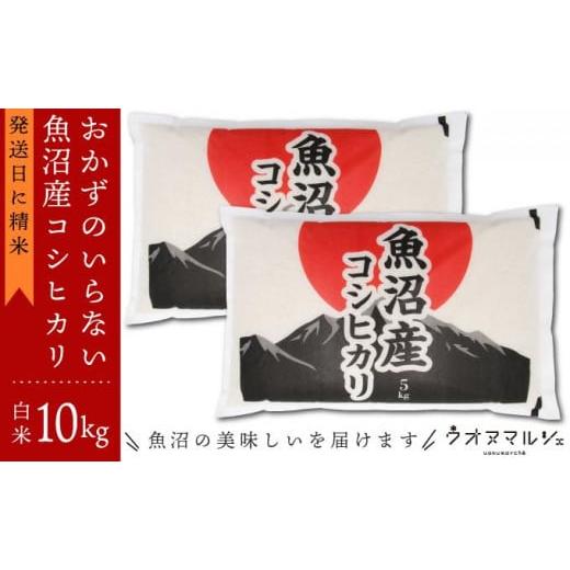 ふるさと納税 新潟県 南魚沼市 新米 令和５年産 おかずのいらない 魚沼産コシヒカリ　白米１０ｋｇ