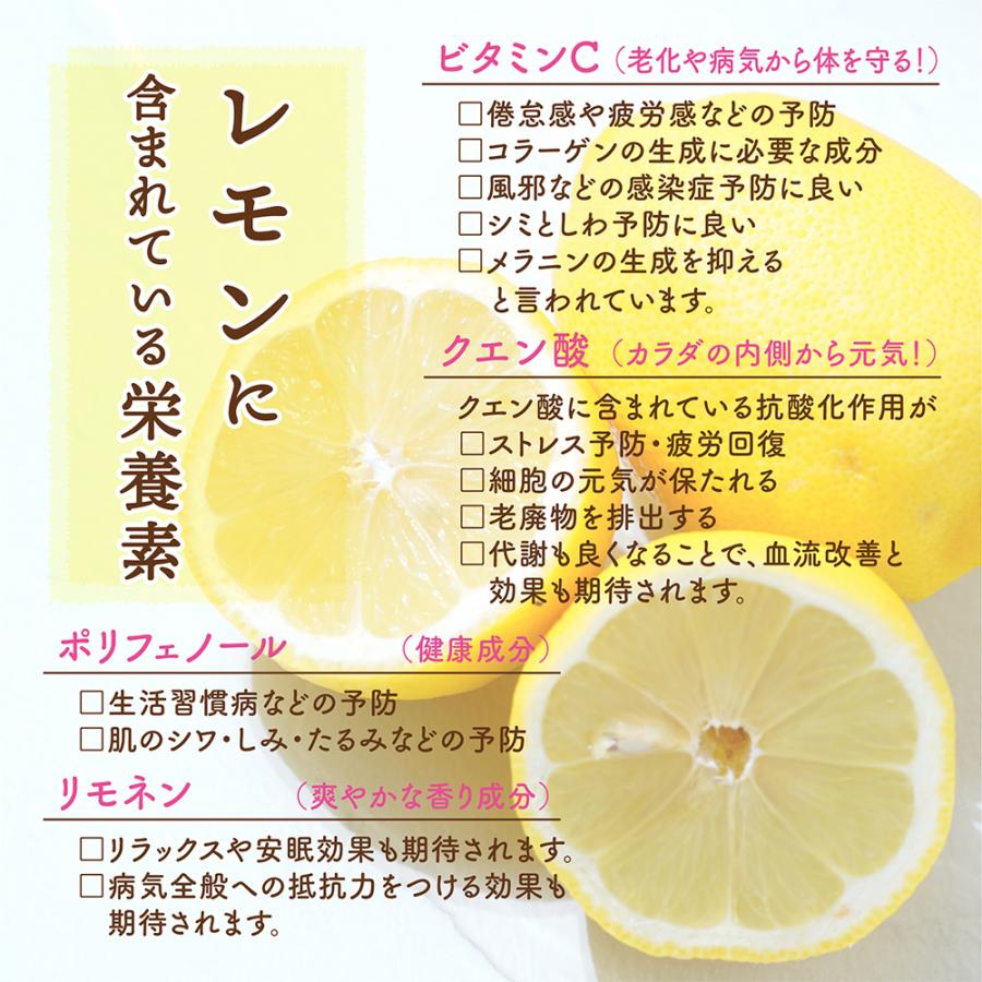 ドライフルーツ 愛媛県産 糖漬け レモン 100g 送料無料 国産 ドライレモン れもん 檸檬 お試し