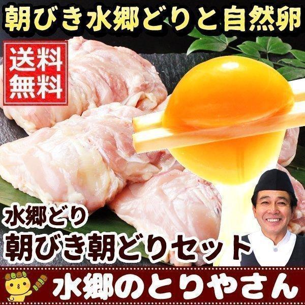 鶏肉 鳥肉 チキン 卵 水郷どり 朝びき朝どりセット もも肉2枚 胸肉2枚 ささみ2本 自然卵 放し飼い自然卵 12個詰（10個＋2個） 送料無料