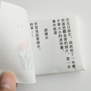 繁體字版 融化首飾/生日禮物/項鍊/鬱金香/鋯石