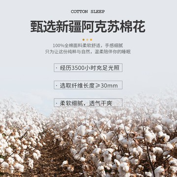 南極人100純棉枕套一對裝48x74cm學生宿舍單人兒童磨毛全棉枕頭套