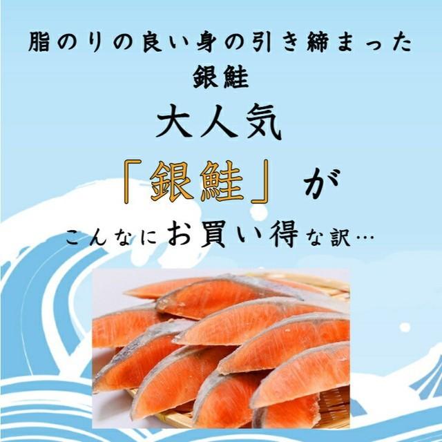 訳あり 石巻直送 銀鮭切身 3kg 送料無料 サケ しゃけ 海鮮 まとめ買い 大容量 food