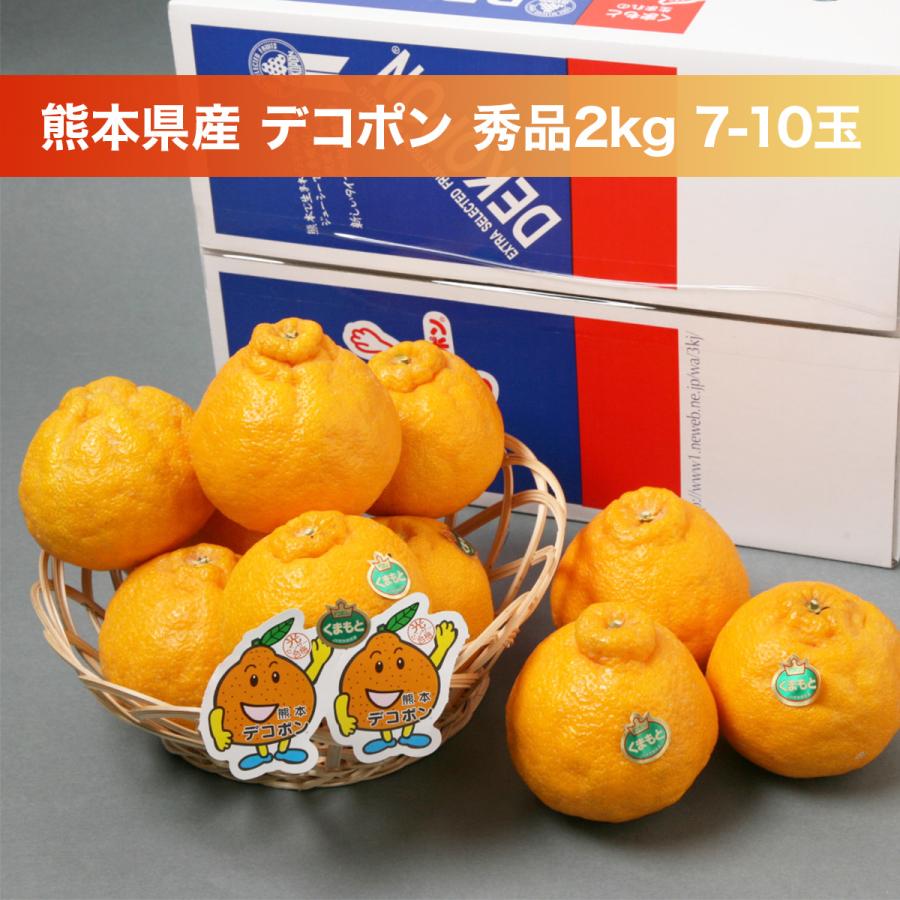 デコポン 熊本県産 秀品 2kg 7-10玉 糖度13度以上 光センサー選果 高糖度 濃厚 贈り物 贈答 ギフト プレゼント お土産 先行予約 常温便