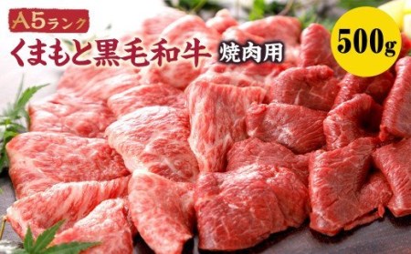 A5ランク くまもと黒毛和牛 焼肉用 400g 焼肉 和牛 牛肉