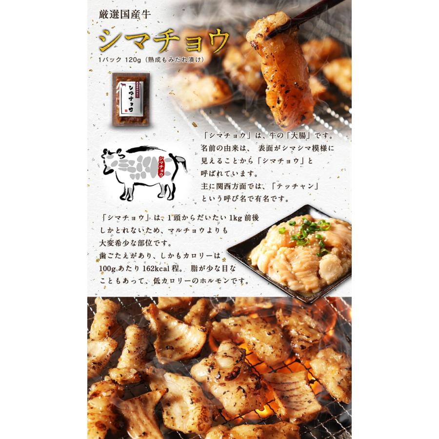 4種盛り合せ ホルモン 焼肉 黄金屋国産牛ホルモン4種盛り合せ 送料無料 マルチョウ シマチョウ ギアラ ハツ