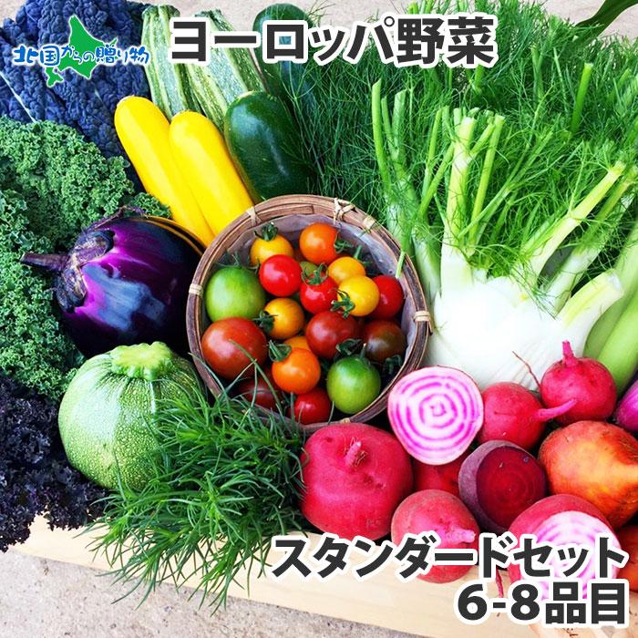 新鮮野菜 詰め合わせ 珍しい野菜 スタンダード ヨーロッパ野菜 セット お取り寄せグルメ ギフト プレゼント 食べ物