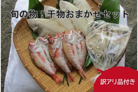 1775.旬の物！干物おまかせセット