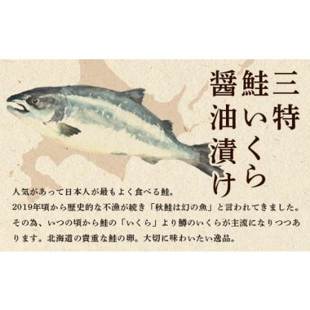 ふるさと納税 北海道産 三特 鮭いくら 醤油漬け 500g×1パック ＜ワイエスフーズ＞ 森町 いくら醤油漬け しょうゆ漬け 海産物 加工品 イクラ .. 北海道森町