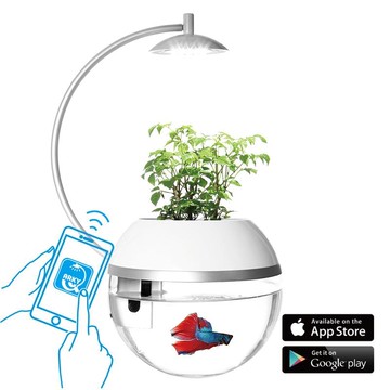 香草與魚X智能版Herb&Fish® X Connect