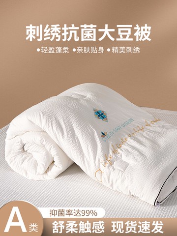 新品~大豆纖維被子冬被春秋被宿舍四季通用被芯單人棉被褥冬季加厚保暖- 雙11全館免運