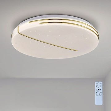 60W 遙控吸頂燈 L01-2081F