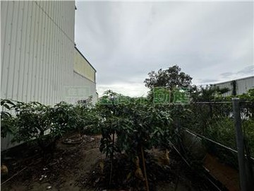 (專約)玉井國中種果樹206市區建地｜台南市玉井區佛聖段