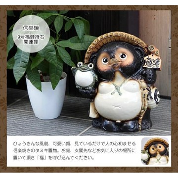 日本製❇️滋賀縣信樂燒 ❇️日本吉祥物 陶燒 狸貓~信樂狸~ 9号福蛙持方ち開運狸