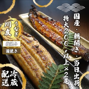 AK004_朝開き国産うなぎ 当日発送２尾（1尾あたり約200～230ｇ） 蒲焼き・ 塩焼き 国産鰻 ウナギ 土用丑の日