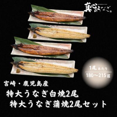 ふるさと納税 宮崎市 うなぎ白焼2尾・うなぎ蒲焼2尾セット