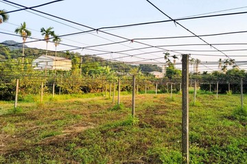 鎌村路大而美平坦方正農地★近國4與74交流道｜台中市豐原區豐新段
