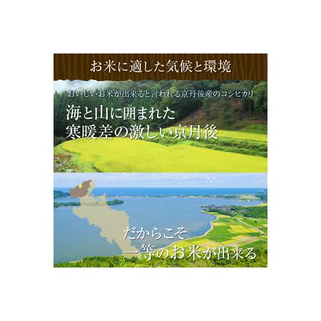 ふるさと納税 令和5年産 新米 美白精米 丹後こしひかり 5kg 1等米 京都府京丹後市