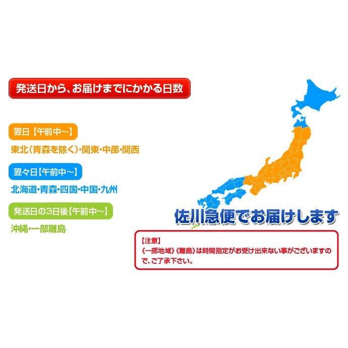 みかん 味ロマン 糖度12度選別 JA長崎せいひ 約2.5kg 外皮に傷あり (11月出荷：2S-M、12月出荷：S-L) ※常温　送料無料 長崎県 ご自宅用 訳あり