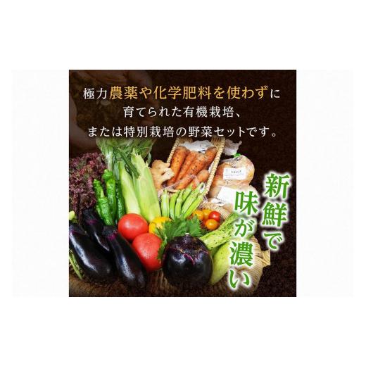 ふるさと納税 京都府 京丹後市 野菜 定期便 6回旬の京丹後野菜セットS（栽培期間中　農薬・化学肥料不使用）＜京都 オーガニック アクショ…