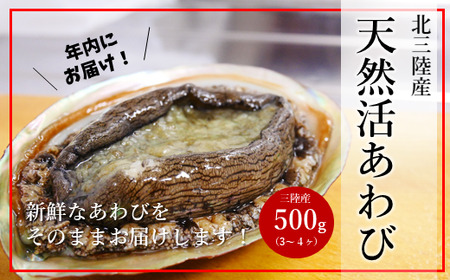 ★産地直送★北三陸産天然活あわび500ｇ