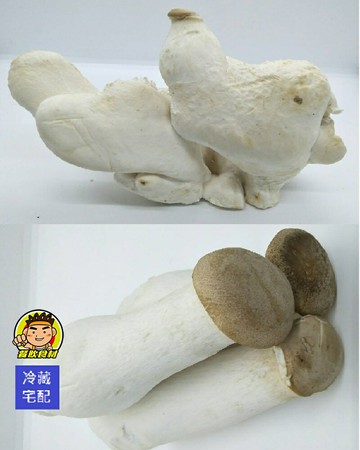 【蘭陽餐飲食材行】冷藏菇菇家族~ ( A級漂亮杏鮑菇 / 杏鮑菇頭 ) 香菇 蔬菜→ 下單後才進貨 火鍋的好朋友 火鍋料 ( 此為冷藏宅配品號 )