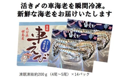 生食用凍眠凍結姫島車えび(養殖)約200ｇ(4尾～5尾)×14パック