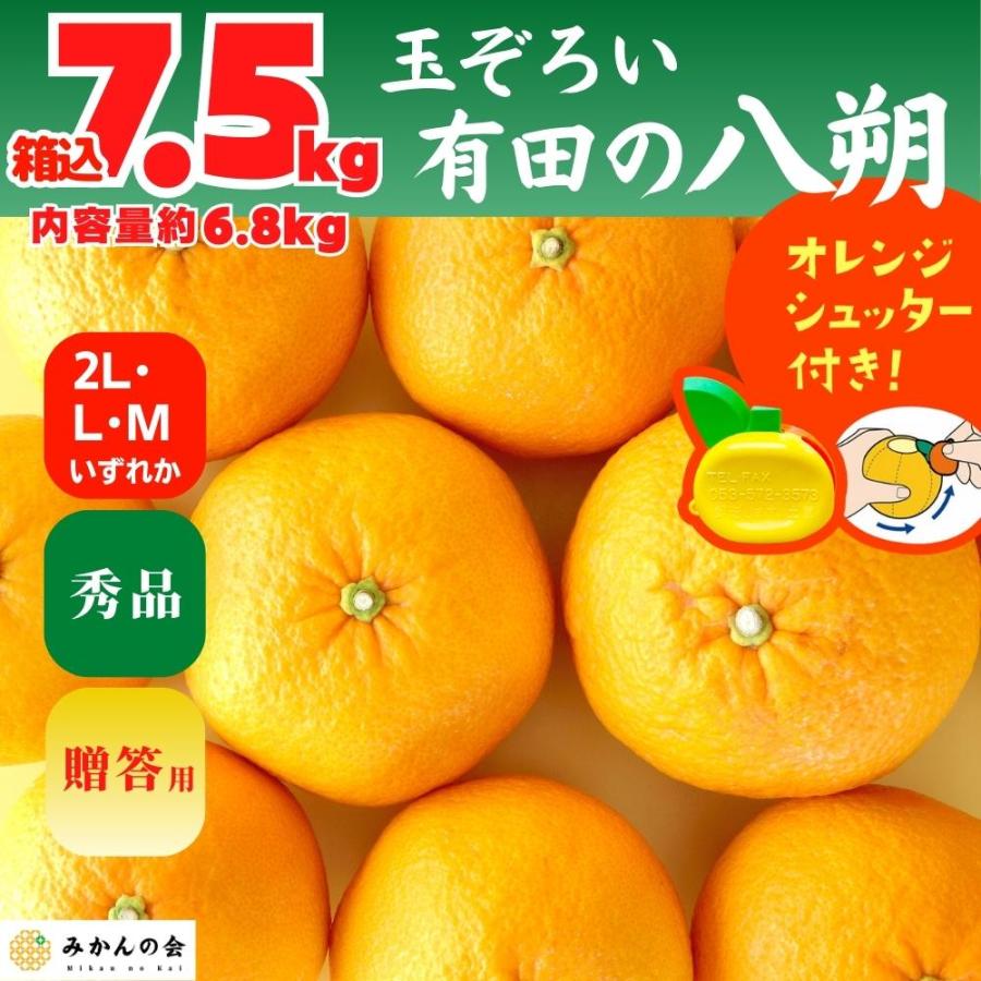 八朔 (はっさく) 秀品 玉ぞろい 箱込 7.5kg(内容量約 6.8kg) 2L L Mサイズのいずれか 和歌山県産  産地直送