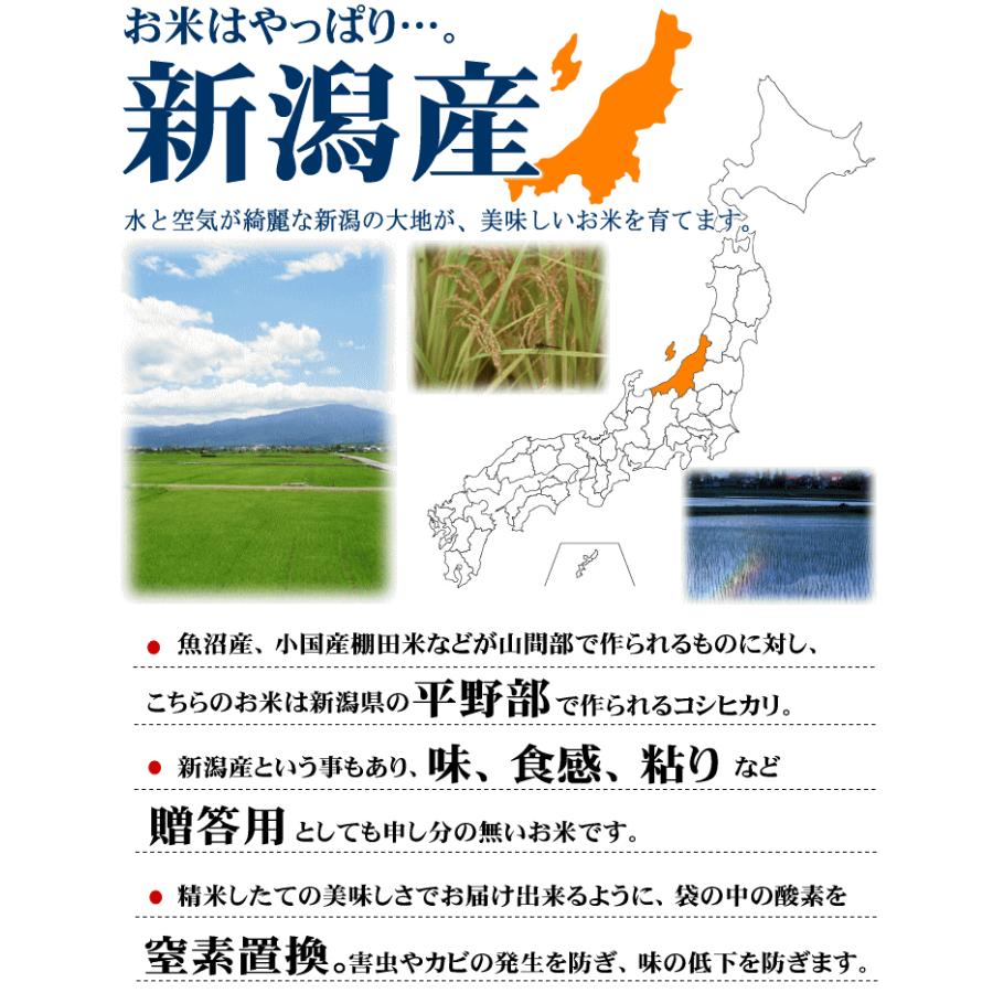 新米入荷 コシヒカリ 30kg 新潟産 新潟米  令和5年度産 産地直送 特産品 名物商品 5kg×6袋