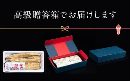 朝じめ うなぎ 溶岩焼き 白焼き 2尾（約140g×2尾）