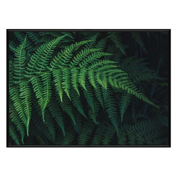 仲夏的交響曲II  42 x 59.4cm  黑色