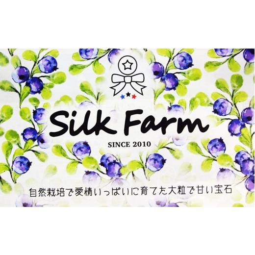 ふるさと納税 埼玉県 加須市 シルクファーム産　冷凍ブルーベリー1000g（500g×2パック）