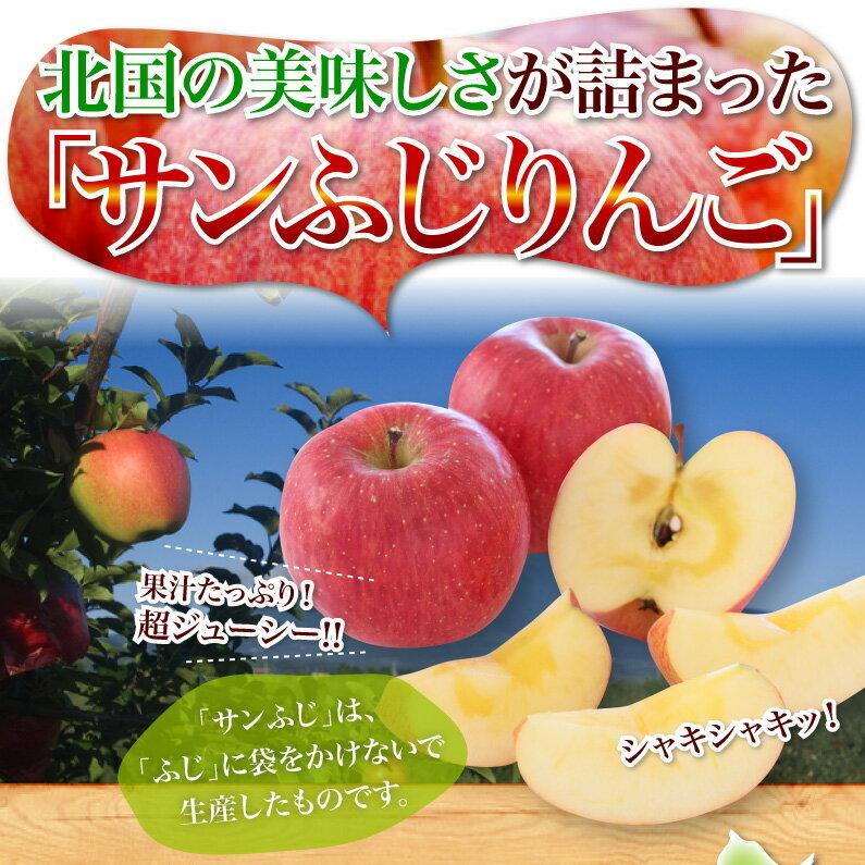 りんご 完熟蜜入り 5kg 青森県南部産 樹成り完熟 ご家庭用 訳あり サンふじりんご 送料無料 産地直送 Y常