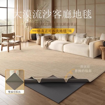 可拆洗地毯雙層客廳臥室沙發輕奢高級感可機簡約純色地墊[DD190109]