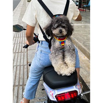 狗狗外出雙肩便攜寵物背包狗包背狗神器貓咪中小型犬攜帶胸前貓包