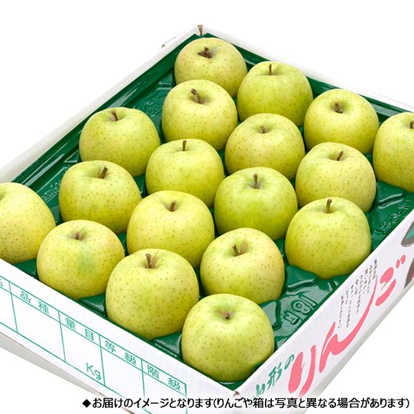 山形県産 ご家庭用 りんご 王林 5kg (準秀品 13玉〜23玉入り) 旬 リンゴ 訳あり わけあり 自宅用 果物 フルーツ 産地直送 お取り寄せ