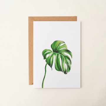 手繪植物卡片 龜背芋 祝福卡 生日卡 謝卡 手寫卡 萬用卡 客製卡