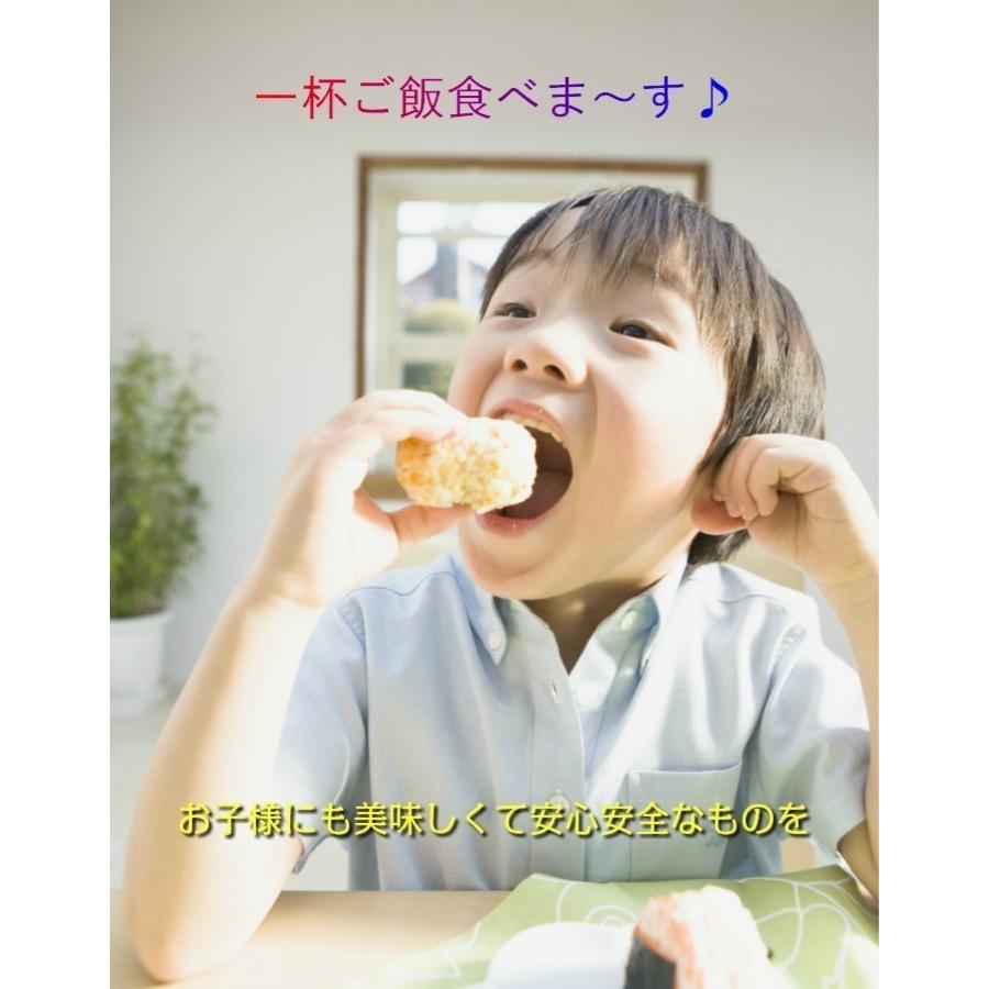 令和5年産 新米 加賀百万石 お米 こしひかり 厳選コシヒカリ 石川県産  10kg