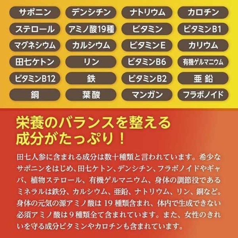 田七人参 白井田七 240粒入り パウチタイプ 3袋 和漢の森 尿酸 白井伝