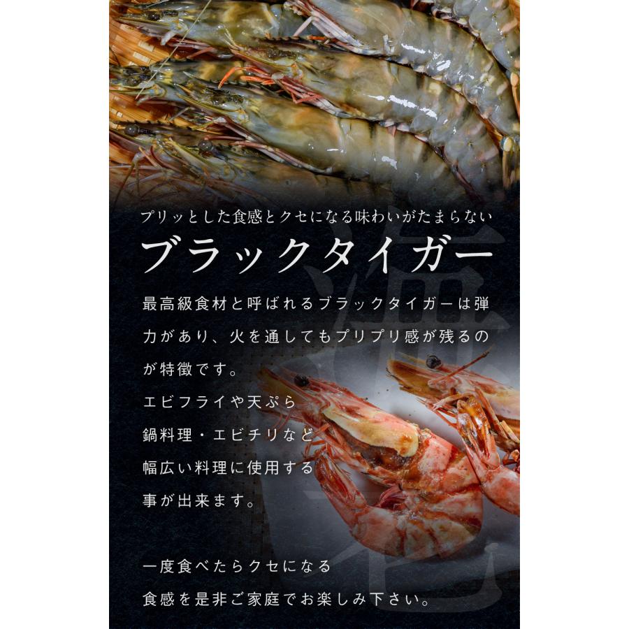 有頭ブラックタイガー 500g (約10尾) 1尾当たり18〜19cm 特大サイズ エビ 専門店・料亭の味 業務用 お徳用 送料無料